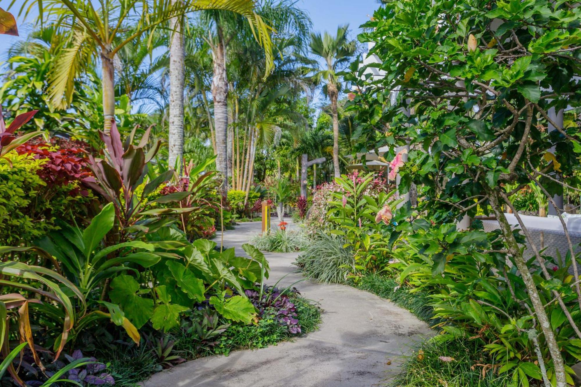 Rarotonga Daydreamer Escape Ngoại thất bức ảnh