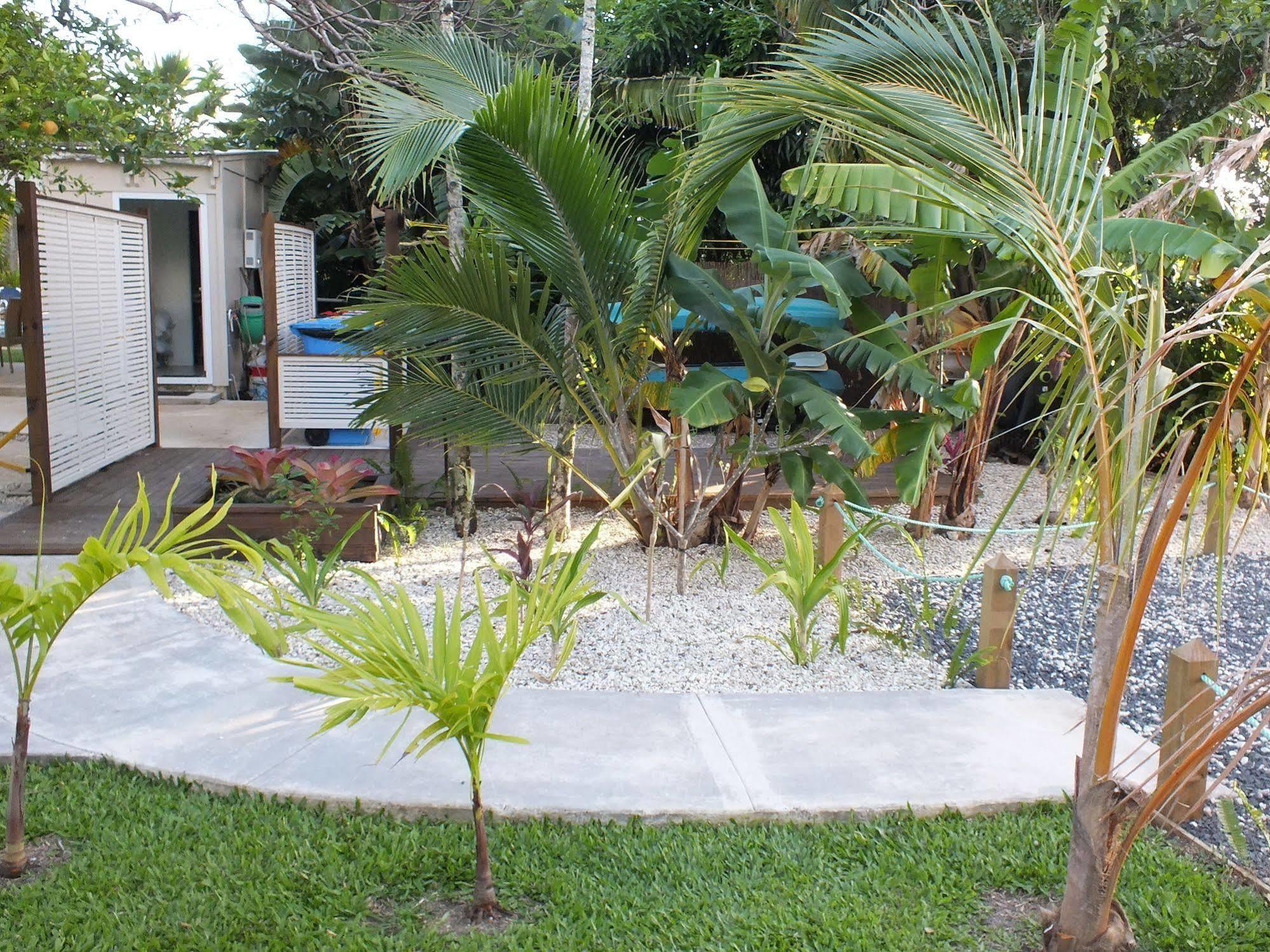 Rarotonga Daydreamer Escape Ngoại thất bức ảnh